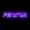 petryha_339_rsnt