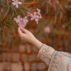 faiqakhan368