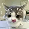 sususafsaf23456