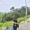 jowarni11
