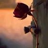 mimoo.mimoo27
