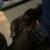 vanessas_privataa
