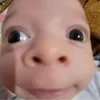 aehocuatao