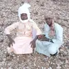 olarewajujimoh3