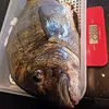 oussama.otmani3