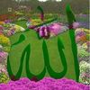 user83553203607994