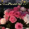sh_xs779