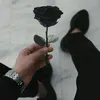 hamoudi_5667