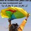 user3181291337628