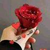 user1069383131287