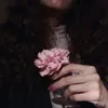 hdstsits
