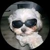 username_02833