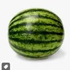 watermelonlover2158