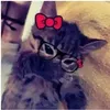 mira.yildiz286