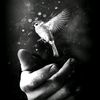 hamzahabdulqader5