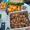 tituspaulchen