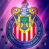 vidal.leon284