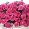 khadija.jawad70