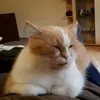 jrgmensing