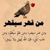 user2915826877852