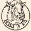 BăcăniaLuOiță