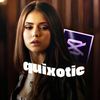 _quixotic3_