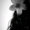 paulacolonna255