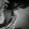 user82225301258512bradys