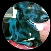 el_felipe47567