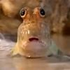 goofy_fish0
