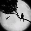 huy.trng6608