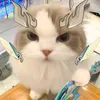 binhmin24