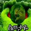 user4458747198182