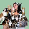 12 Cat & 2 Dog Rescue Life
