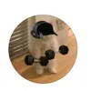 hunh.trung.tnhgym