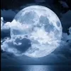 moon_lover523