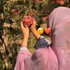 sadia.khatun759