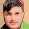 saiber206