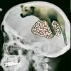 chimbenoiyeuem