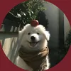 thelazygirl17