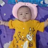 yn.nhi1831