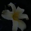 dannyaaa96