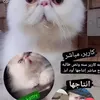 nagahabbass