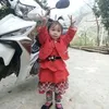 phng.don.vn