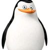 user7245492378499