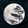 moon.282008