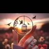 amani.mohammed927
