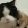 bo..no0