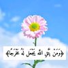 menna.shaban703