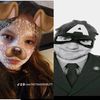 user14570650848271
